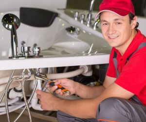 About Emergency plumbing pros Harbert, MI